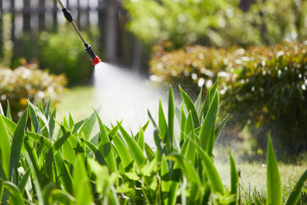 24/7 Emergency Mosquito Control experts in Lake Secession, SC