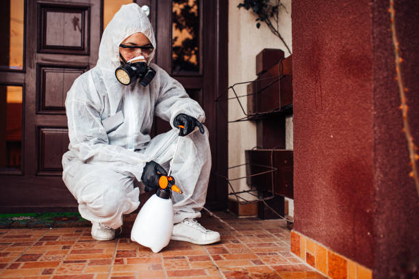 Reliable Mosquito Control contractor in Lake Secession, SC by Show Me Pest Control
