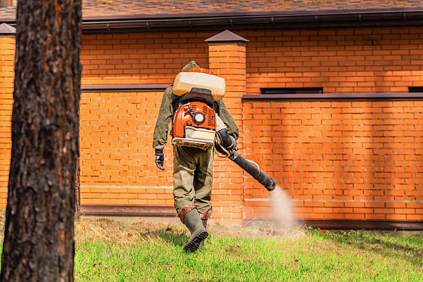 Top rated local Mosquito Control specialists in Lake Secession, SC